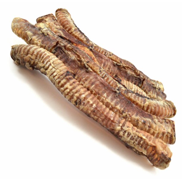 Buffalo Trachea approx 30cm