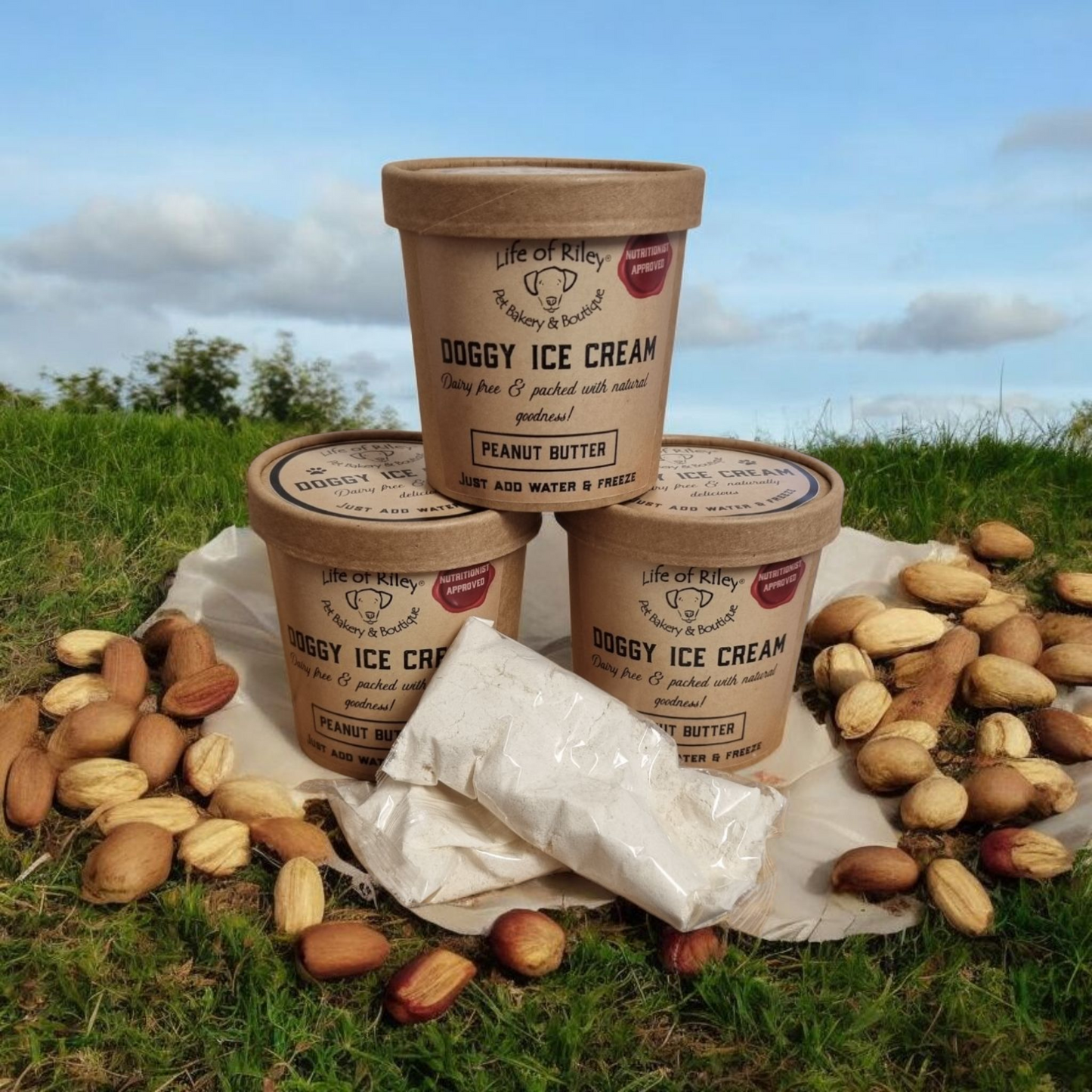 DIY DOGGY ICECREAM - PEANUT BUTTER