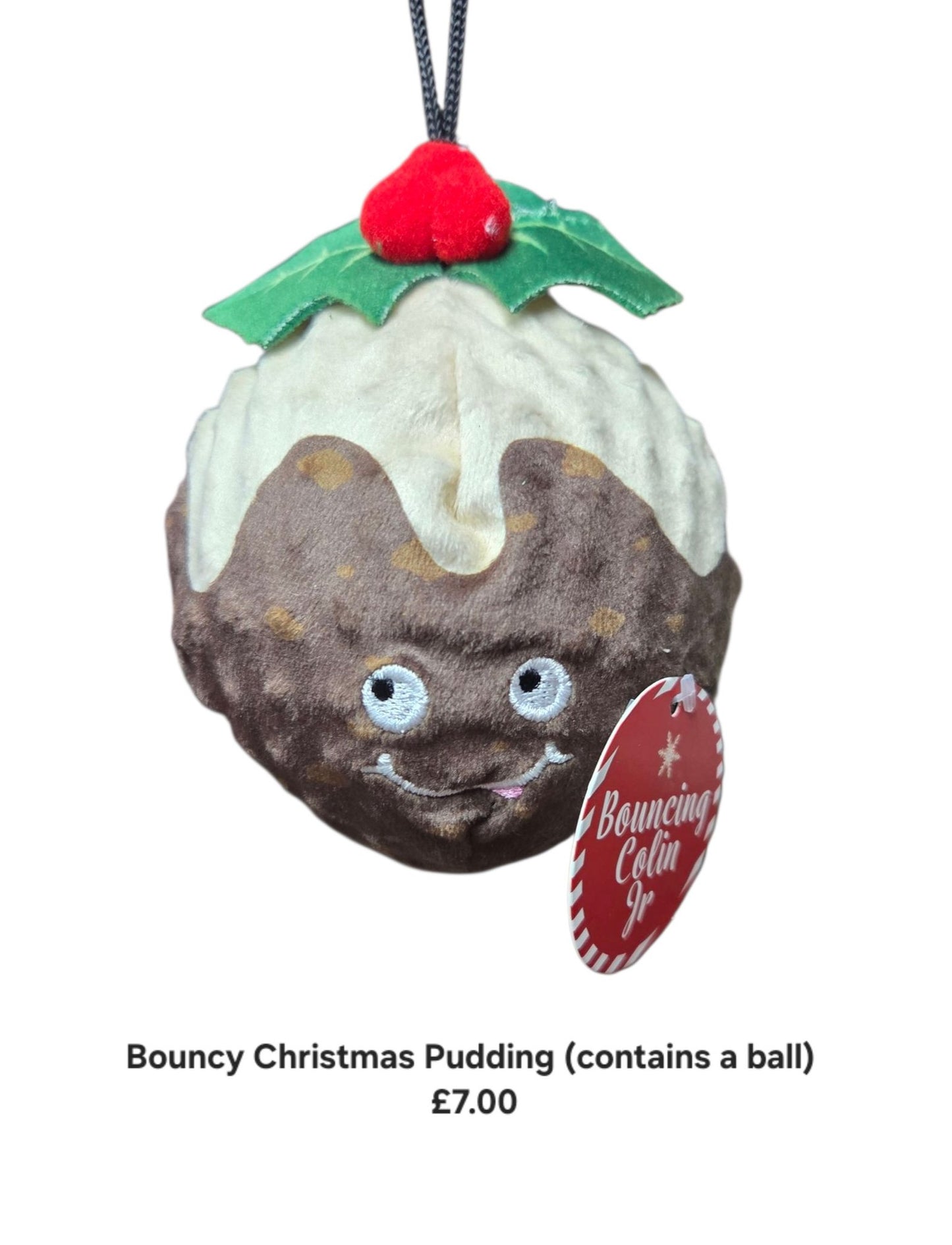 Bouncy Christmas Pudding
