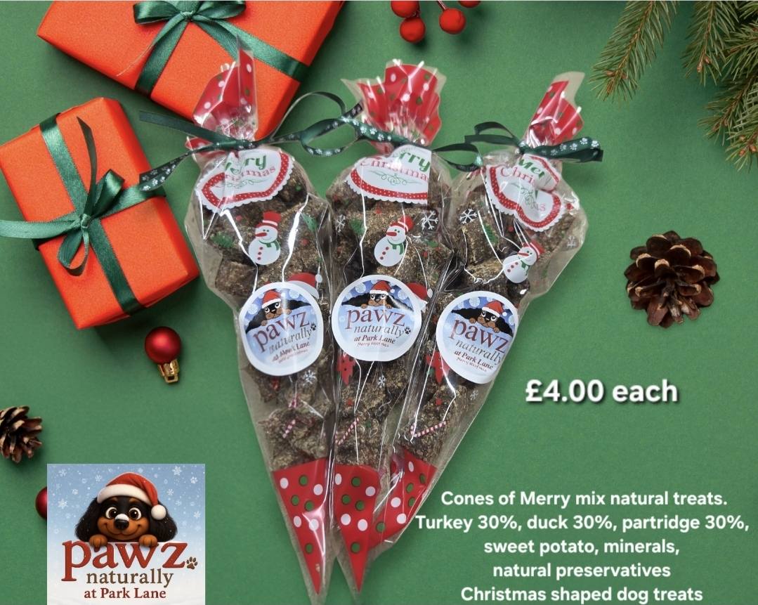 Christmas Treat Cones