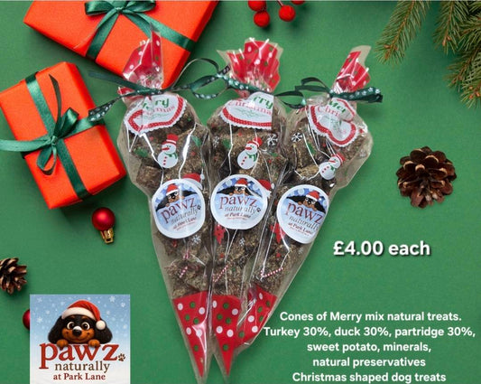 Christmas Treat Cones