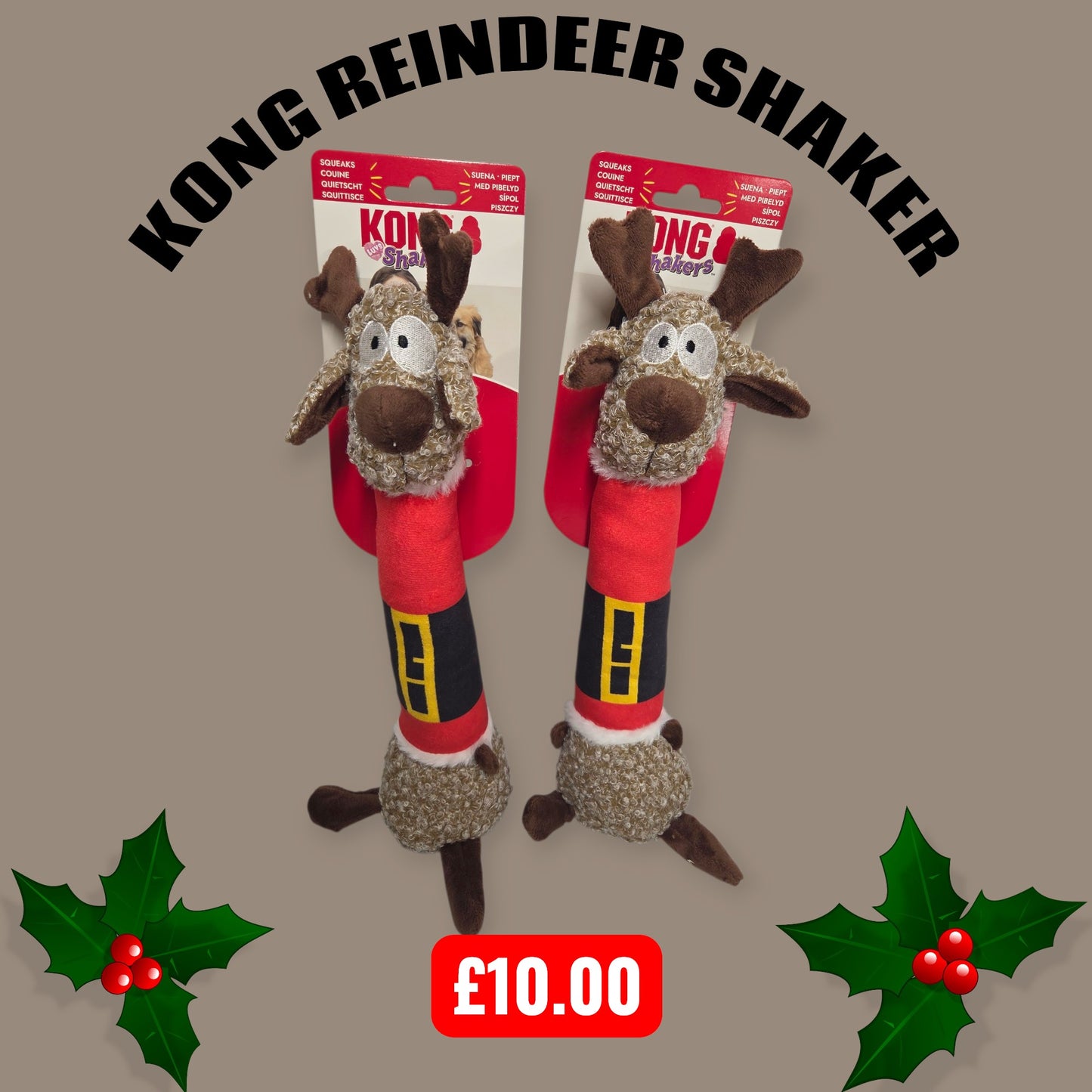 Kong Reindeer Shaker
