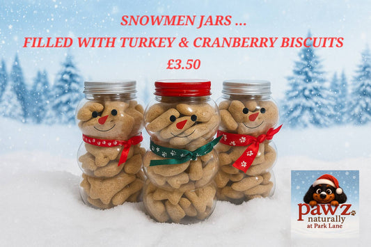 Snowmen Jars