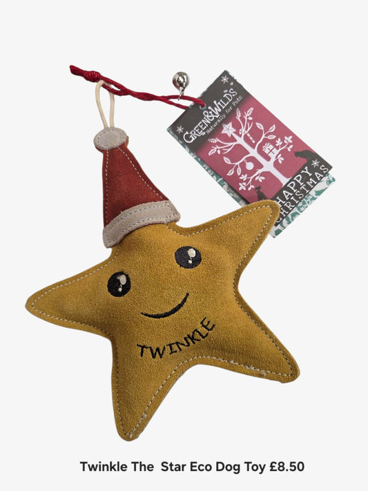 Twinkle the Star